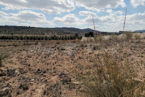 Helårsgrund i Caudete, Albacete, Caudete - € 35.000 | Ref: SF0388 - foto 4